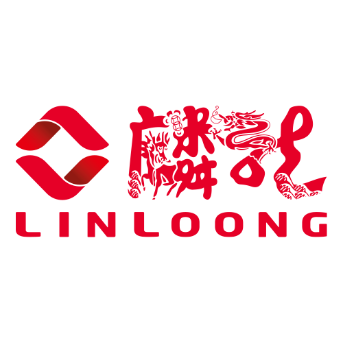 麟龙股份